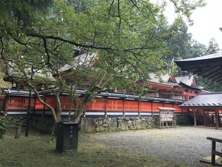IMG_0810.JPG