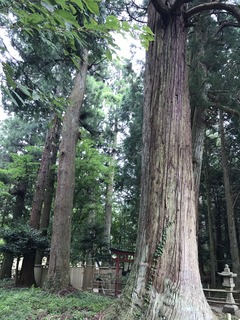 IMG_0812.JPG